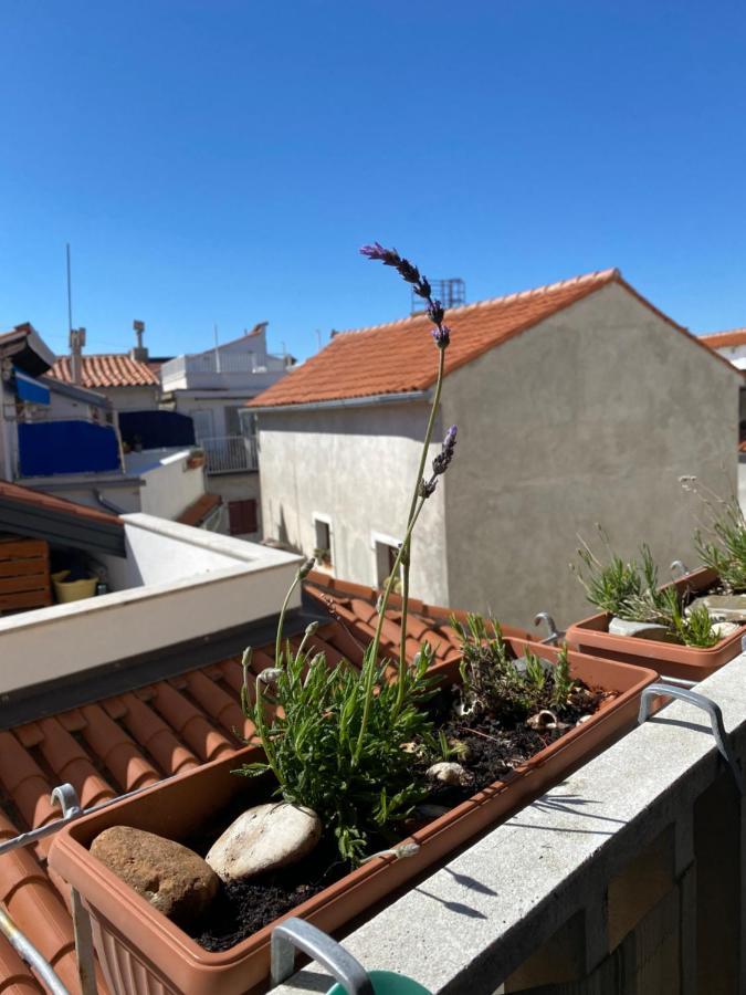 Lucy Apartment Piran-Punta Екстериор снимка